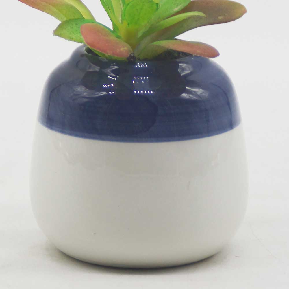 MC0113 Succulent Single