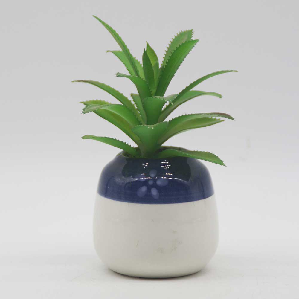 MC0114 Succulent Single