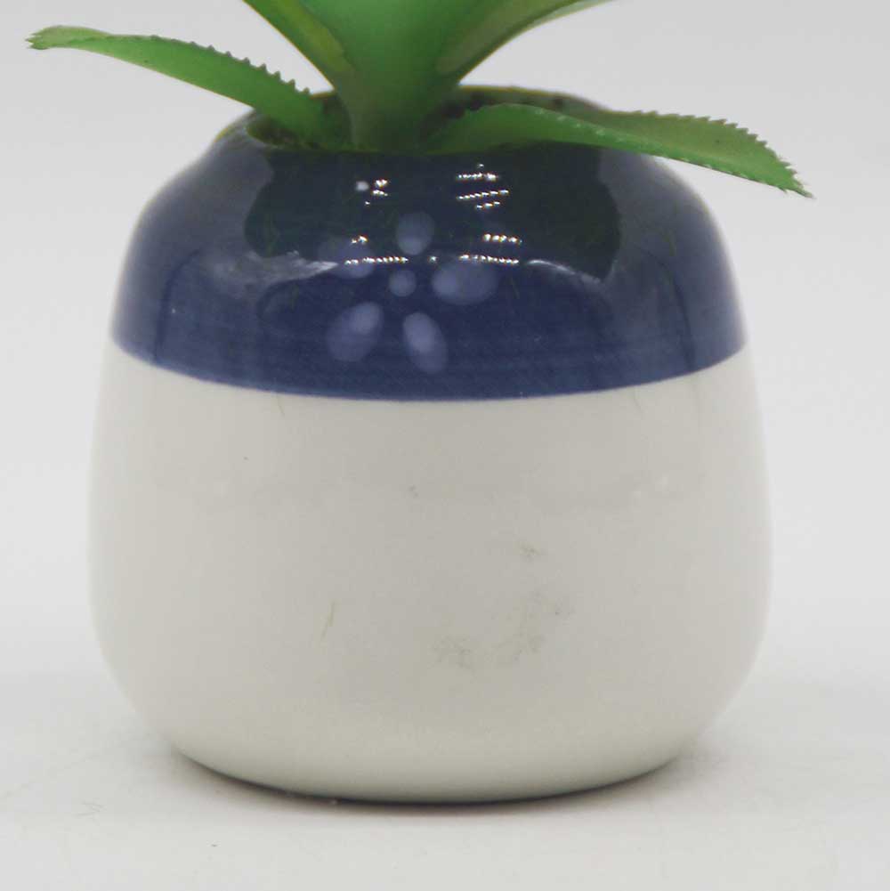 MC0114 Succulent Single