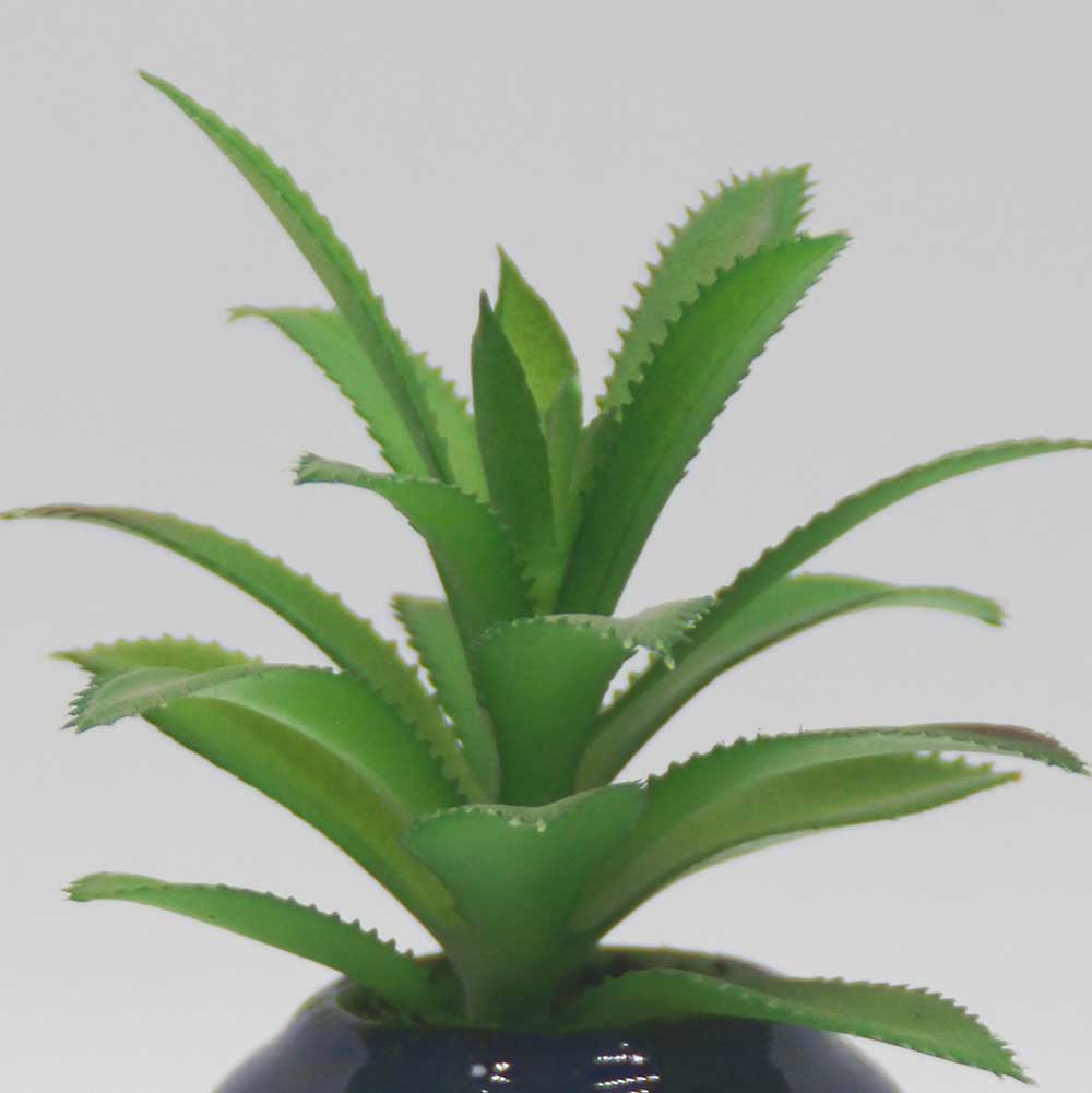 MC0114 Succulent Single