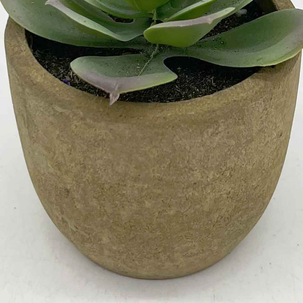 MC3394 Succulent Single