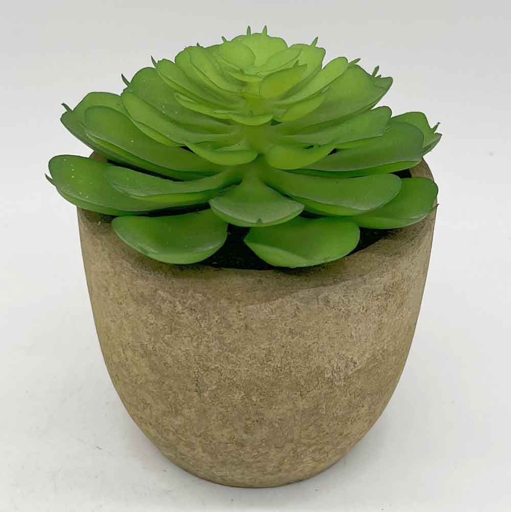 MC3395 Succulent Single