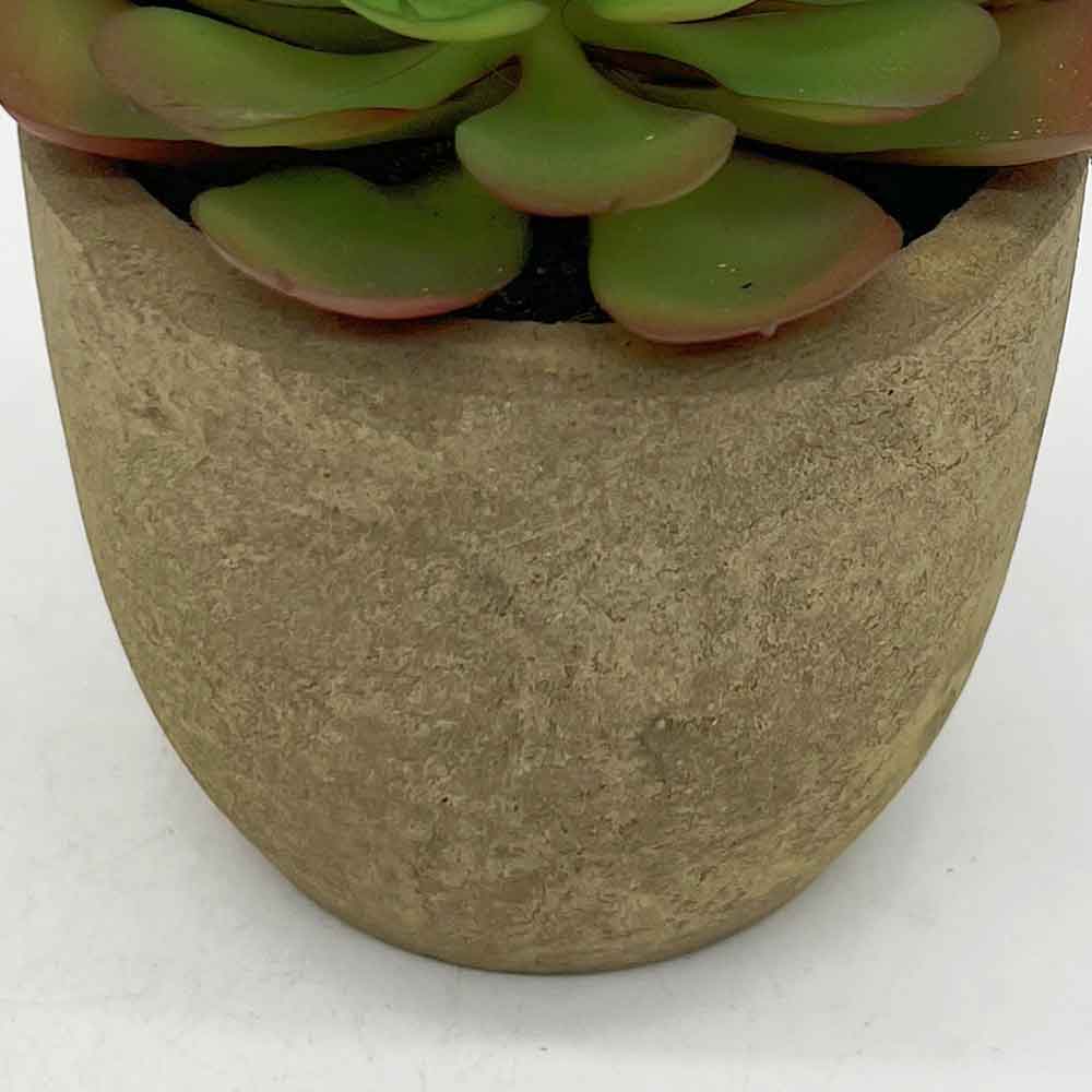 MC3396 Succulent Single