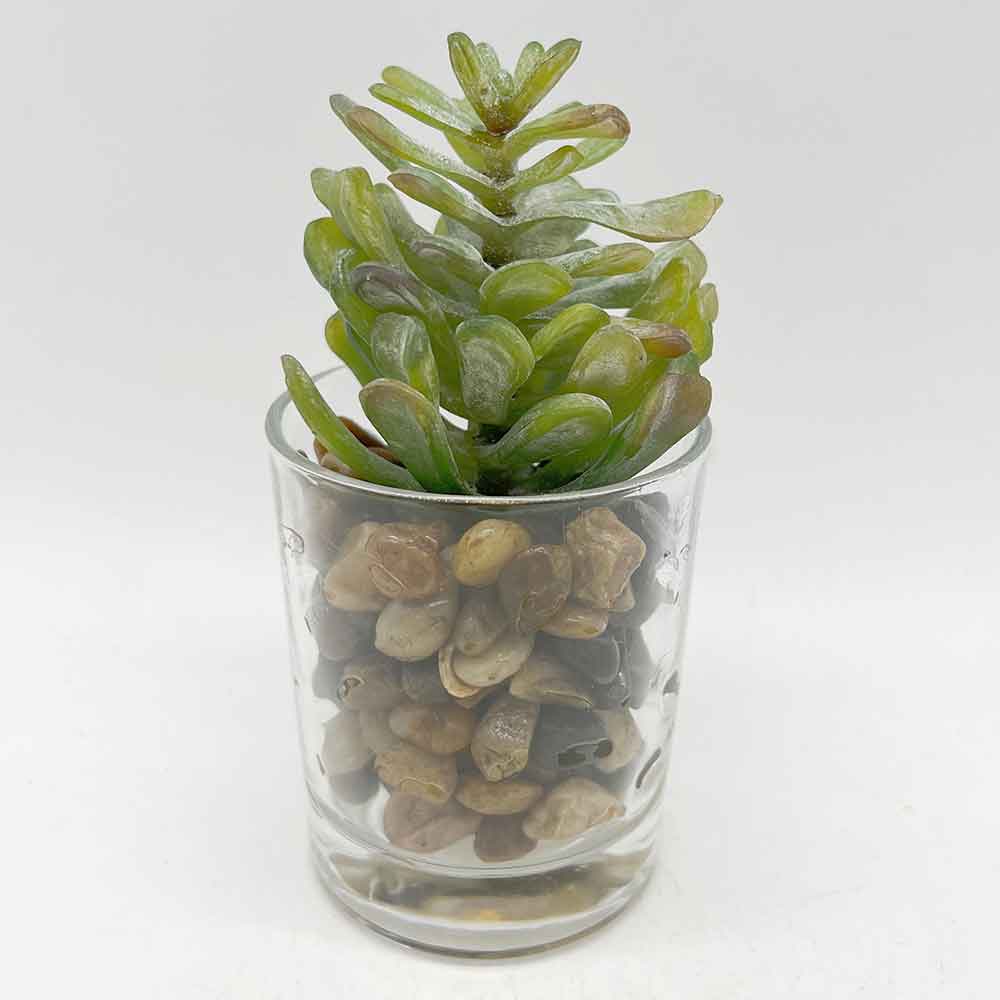 MC3401 Succulent Single