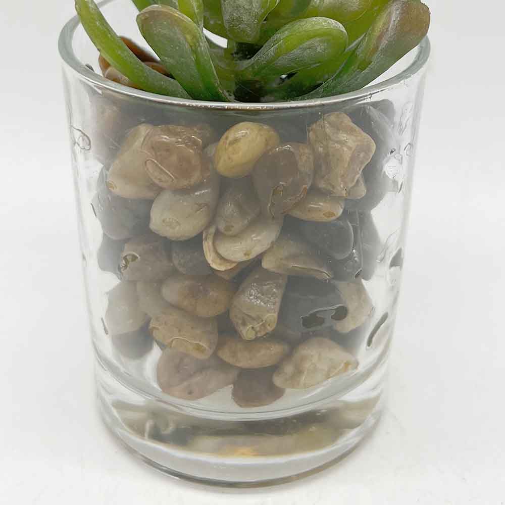 MC3401 Succulent Single