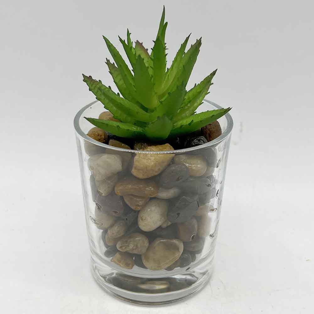 MC3402 Succulent Single