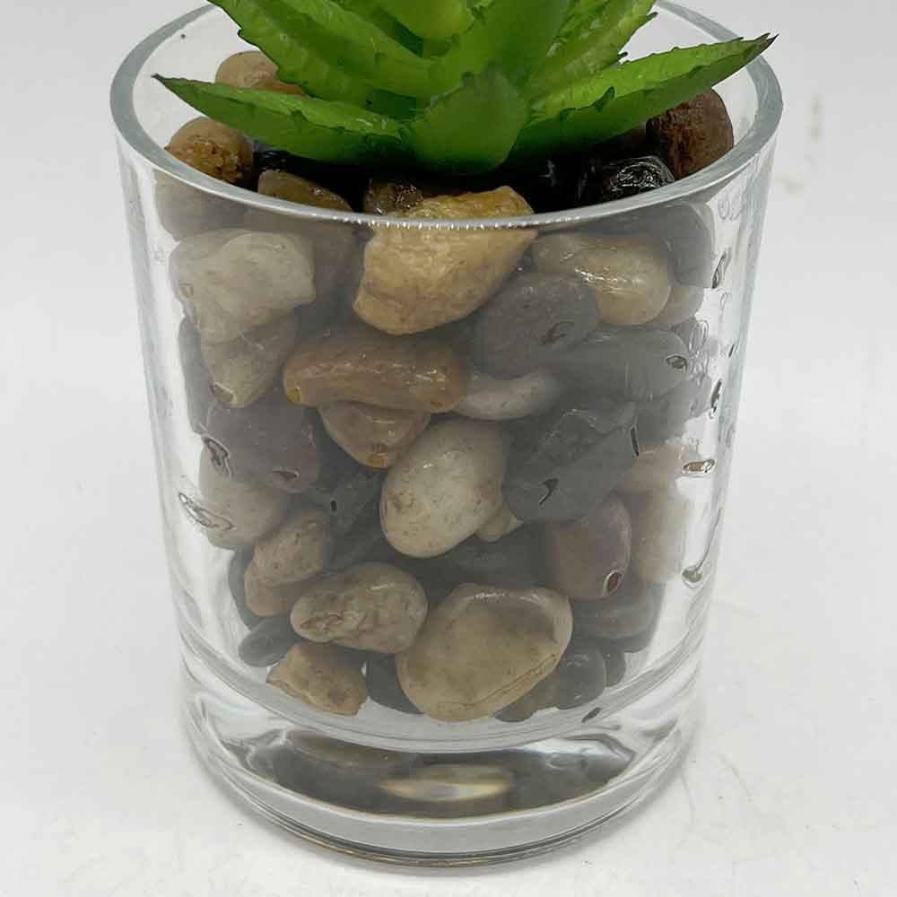 MC3402 Succulent Single