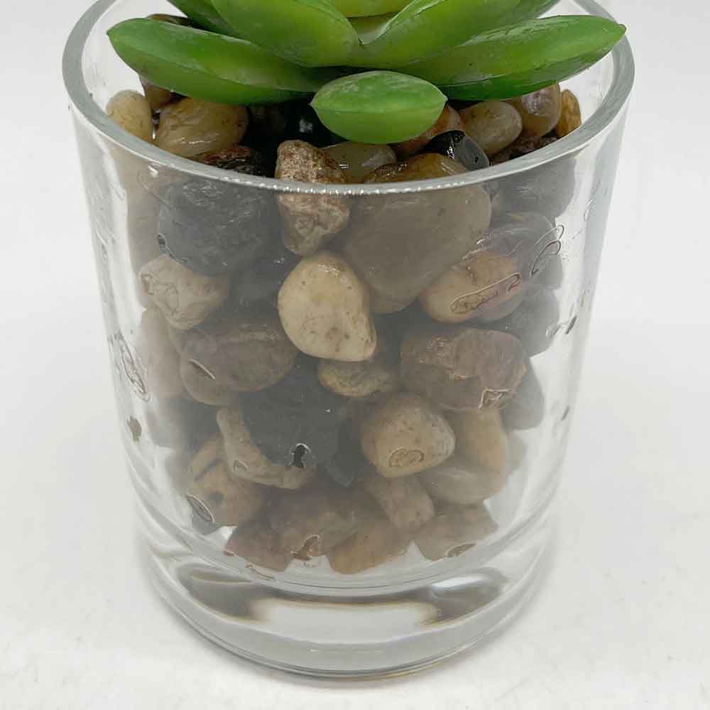 MC3403 Succulent Single