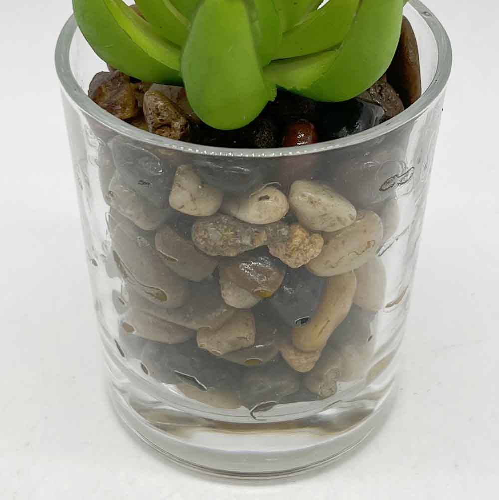 MC3404 Succulent Single