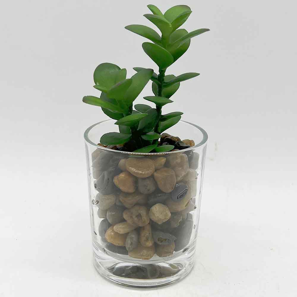 MC3405 Succulent Single