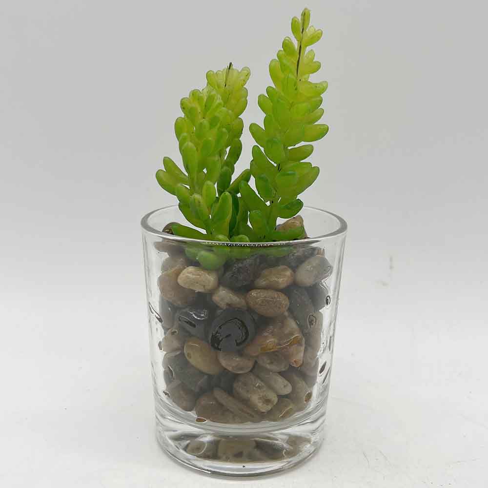 MC3406 Succulent Single