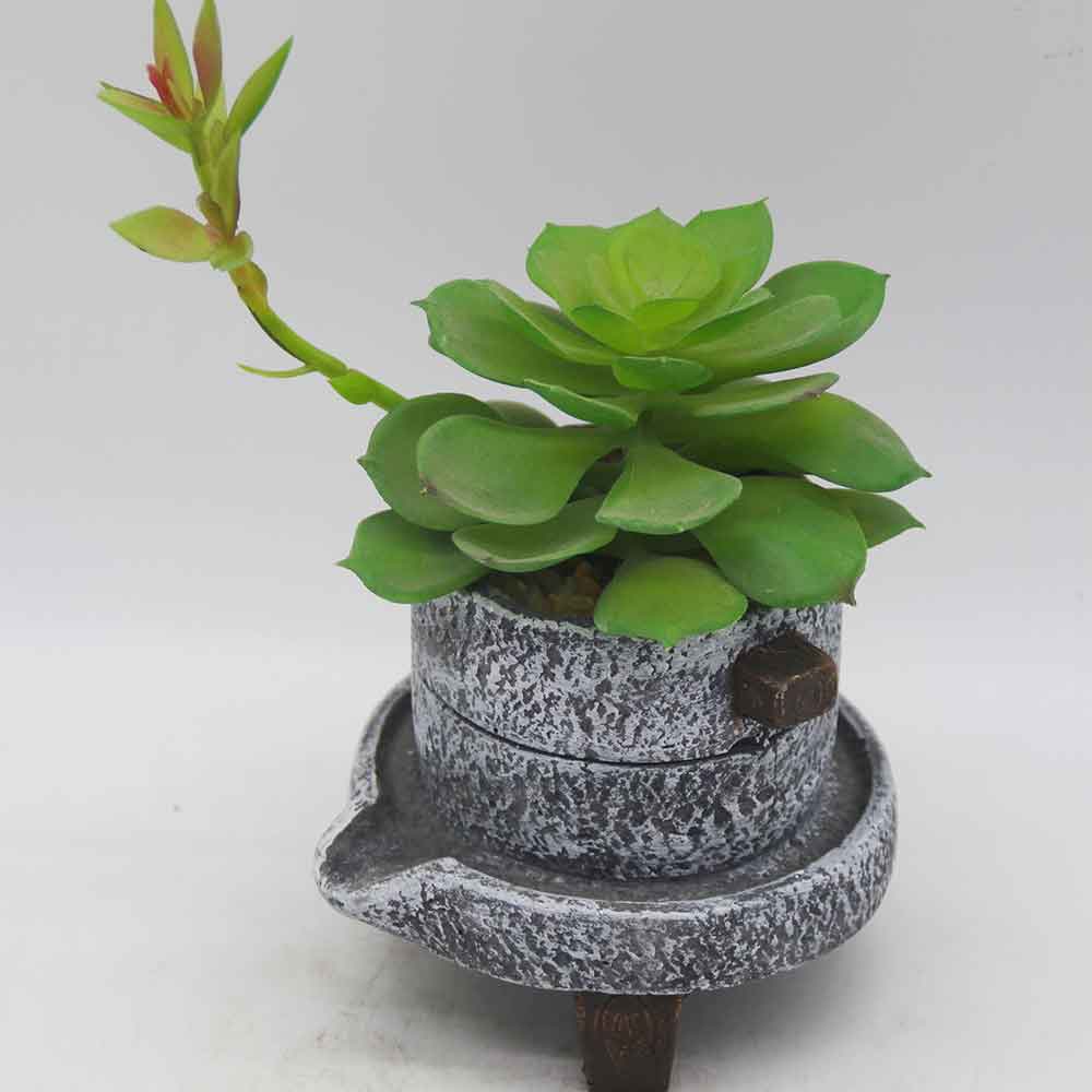 MC3495 Succulent Single