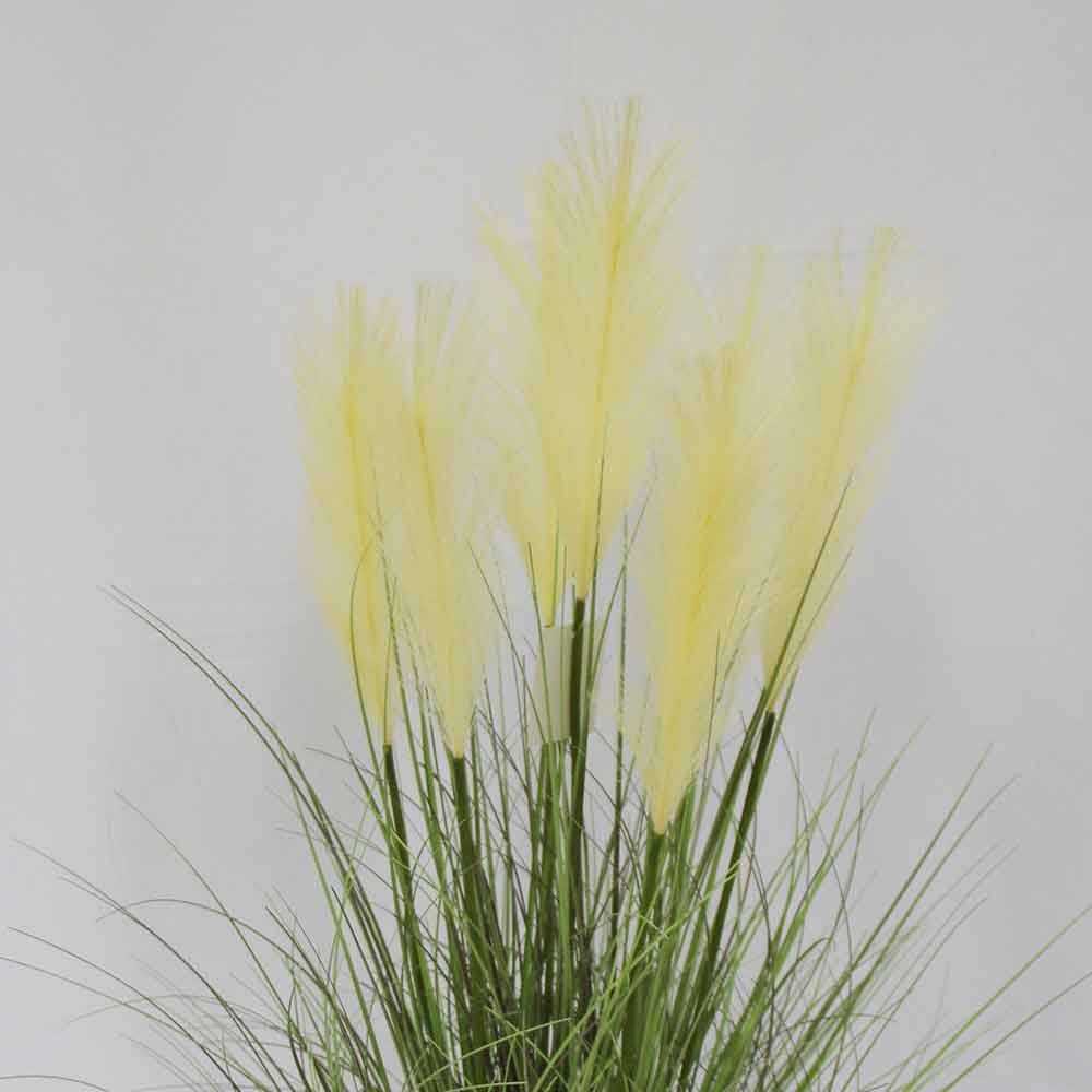 MC2900 Onion Grass