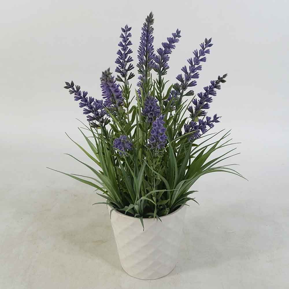 MC19-7309P Lavender