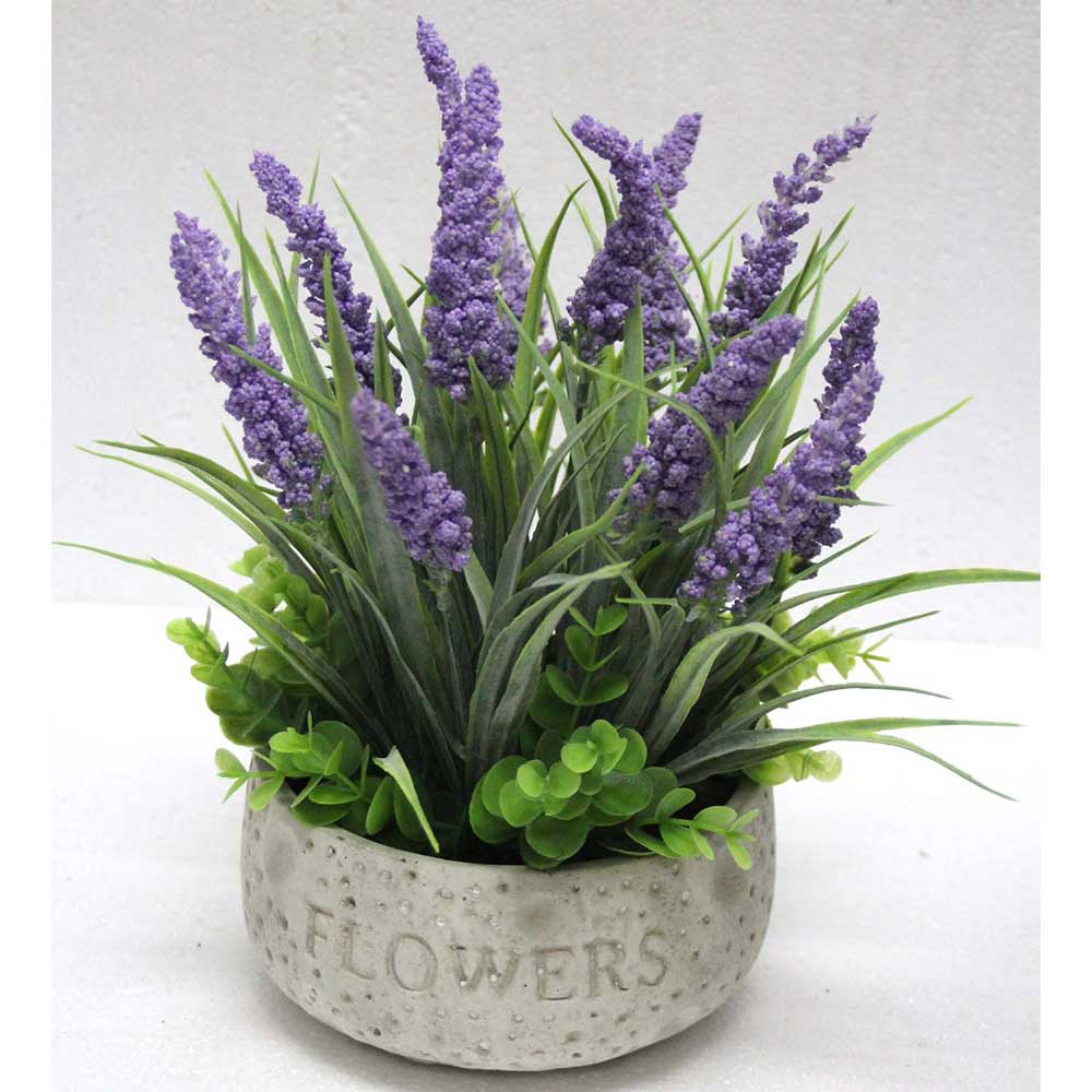 MC2459 Lavender