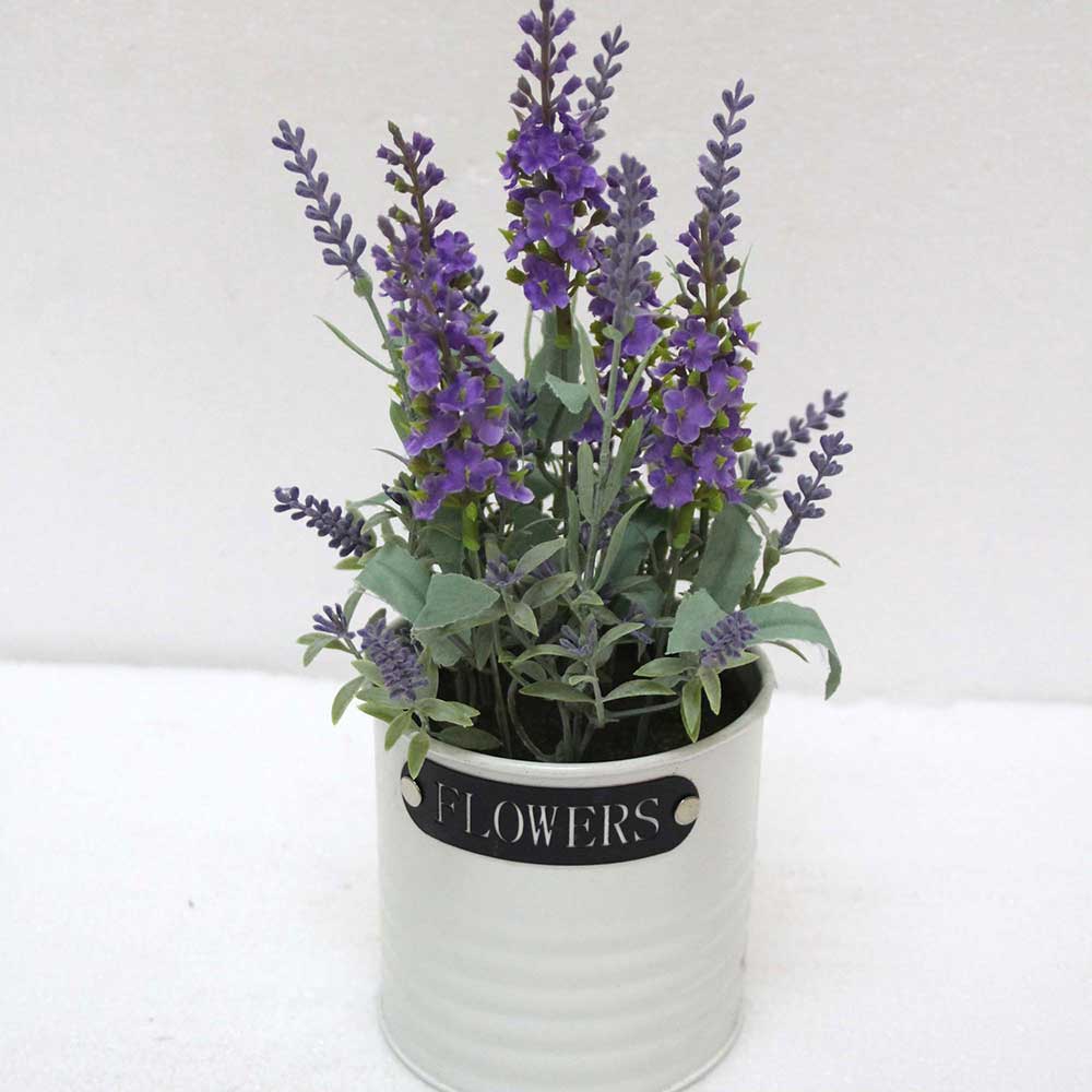 MC2599 Lavender