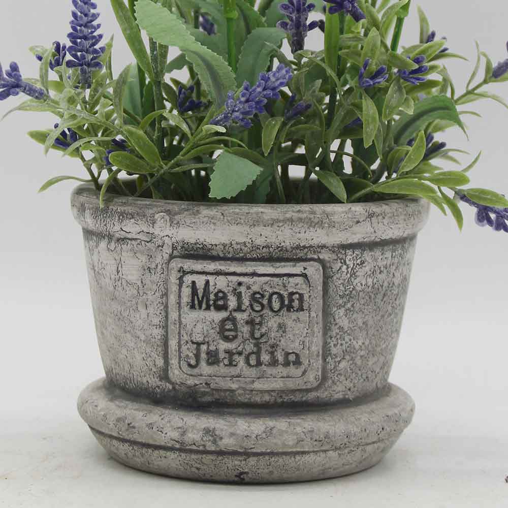 MC3413 Lavender