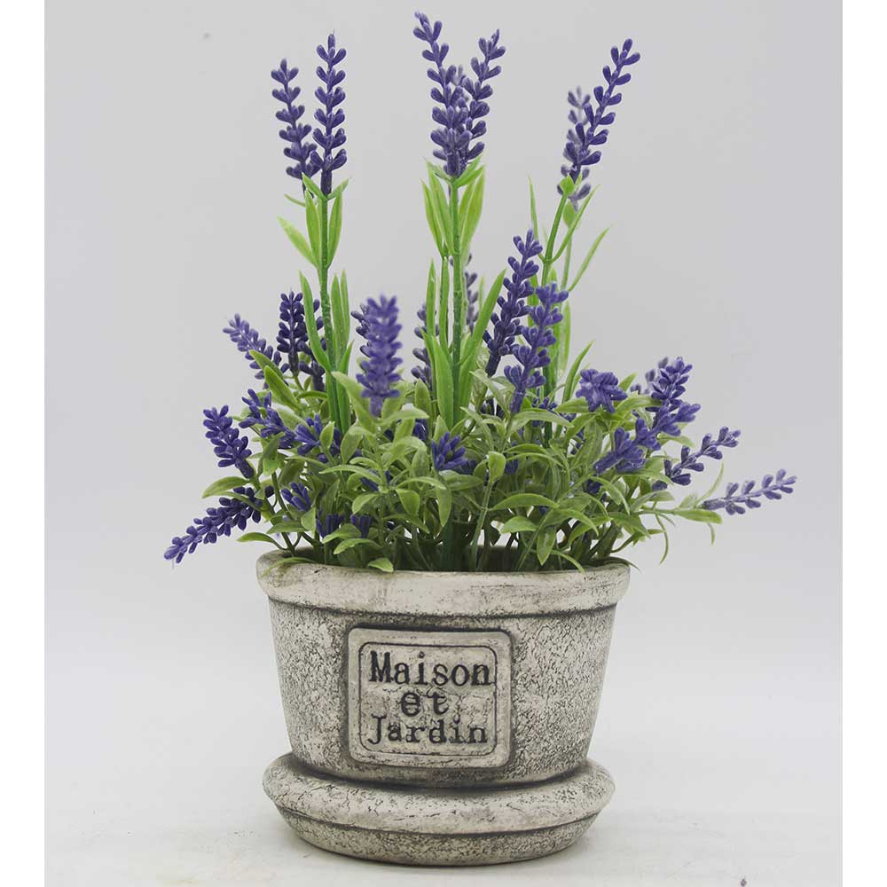 MC3414 Lavender