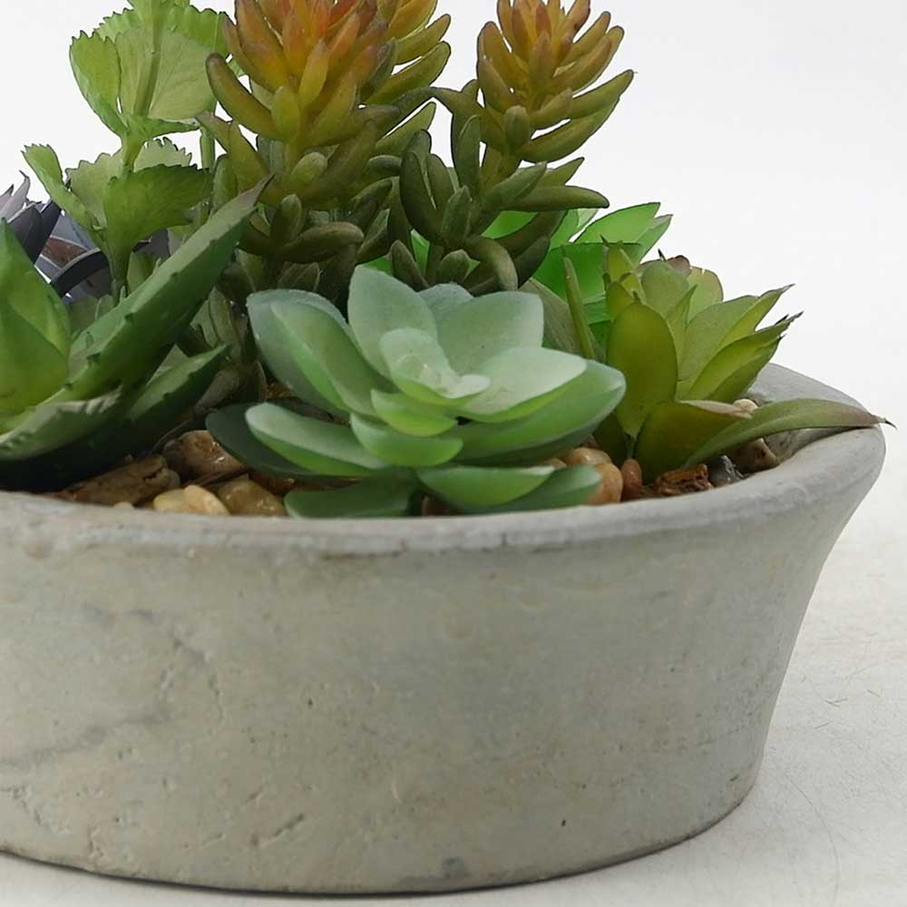 MC19-7322S Mixed succulent