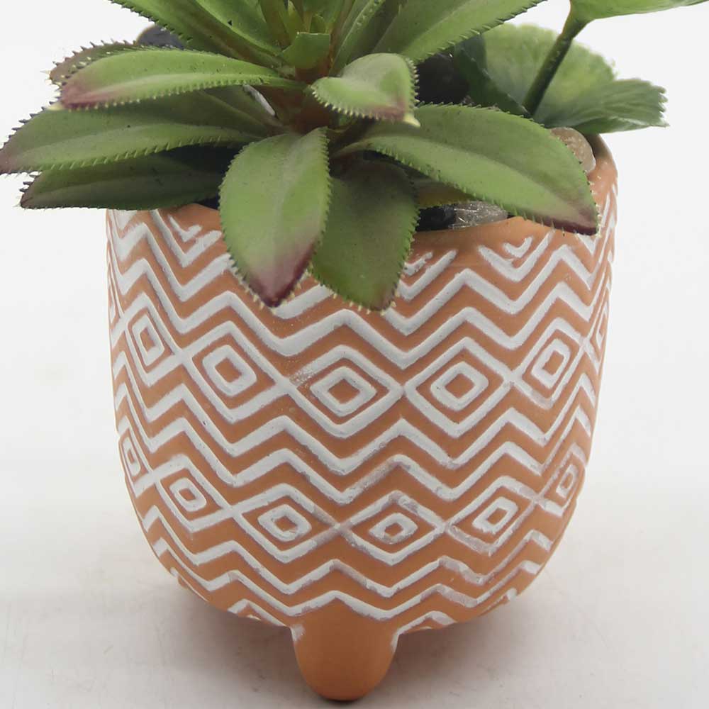 MC0059 Mixed succulent