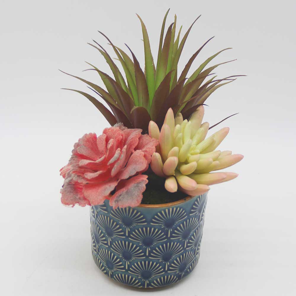 MC0115 Mixed succulent