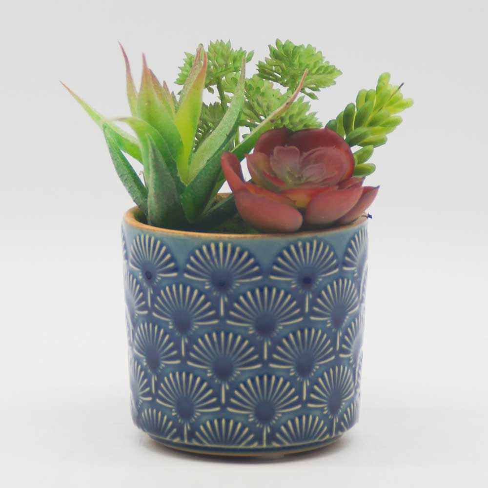 MC0116 Mixed succulent