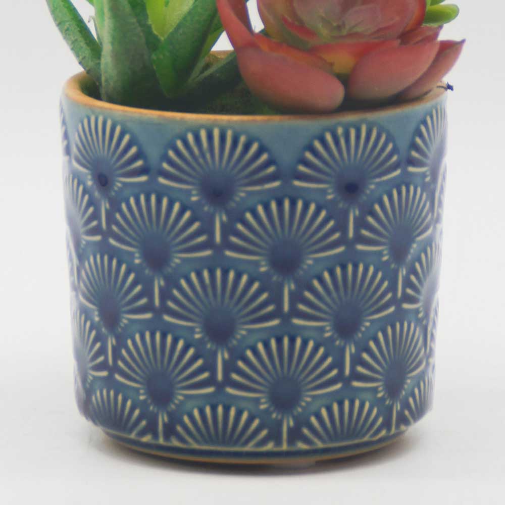 MC0116 Mixed succulent