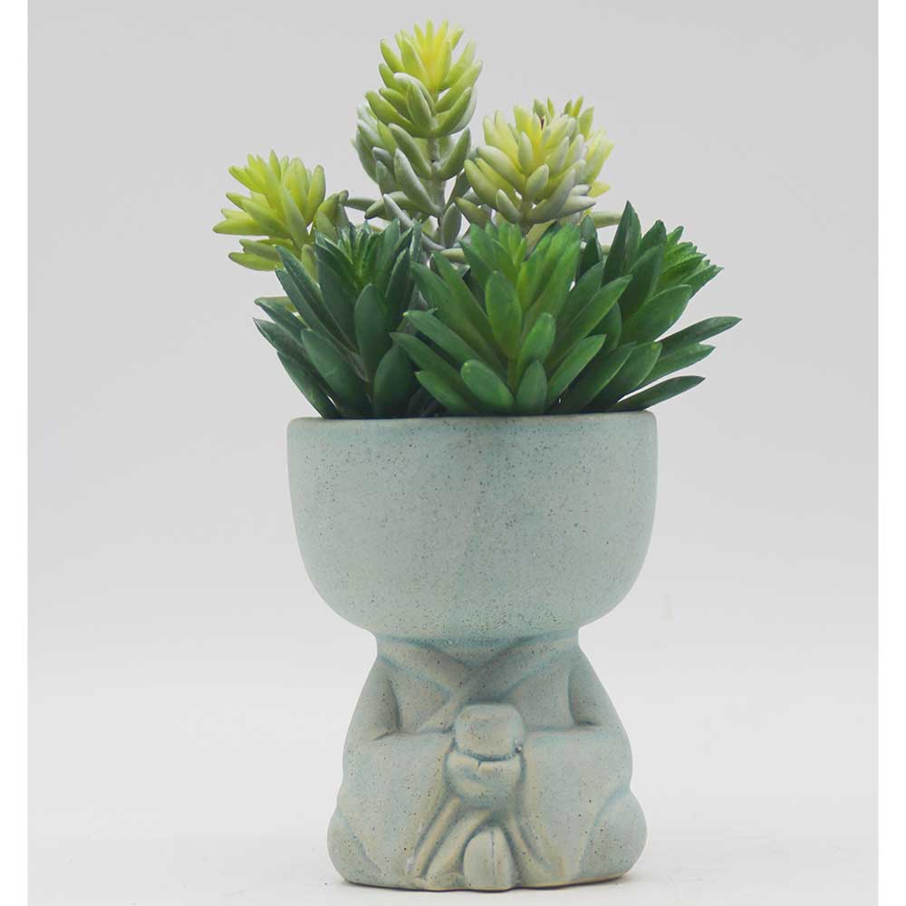 MC0119 Mixed succulent