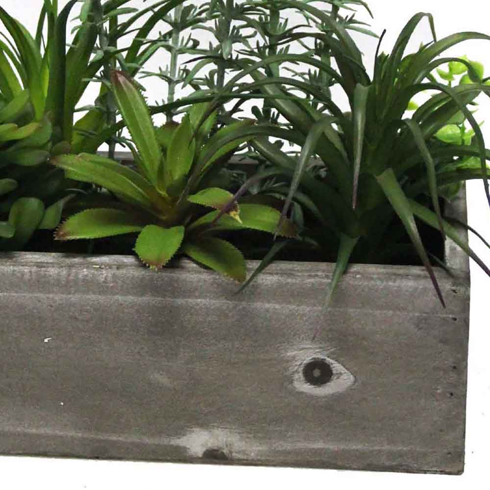 MC2506 Mixed Succlent