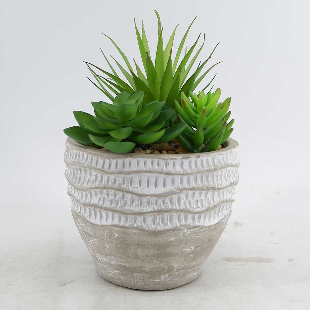 MC18-5367S Mixed succulent new