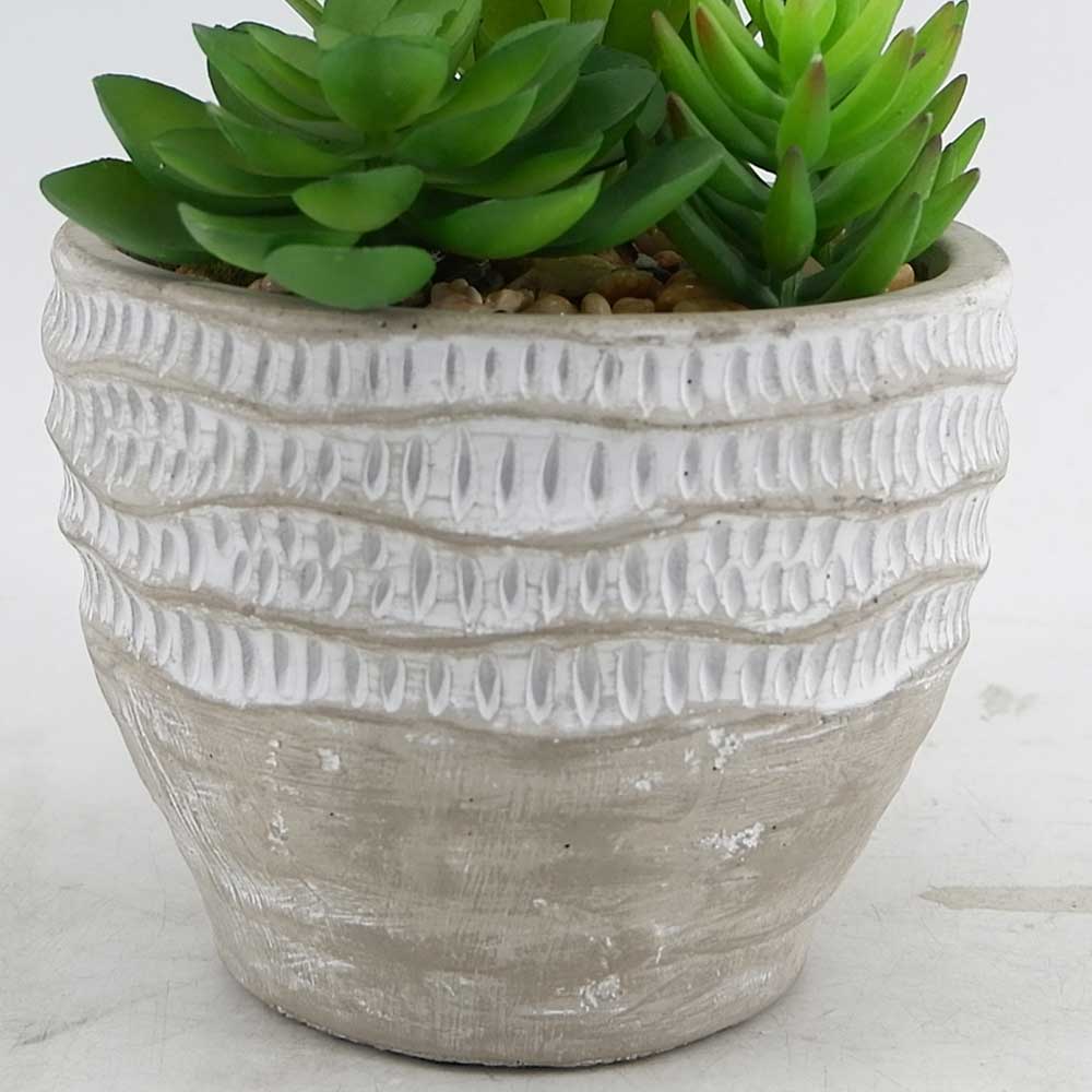 MC18-5367S Mixed succulent new