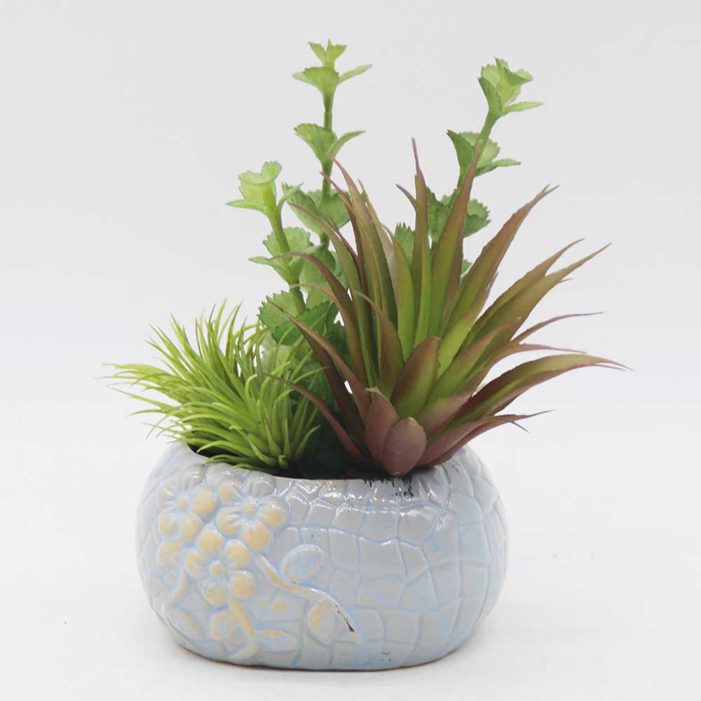 MC0370- Mixed succulent new