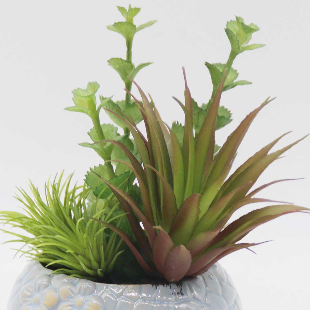 MC0370- Mixed succulent new