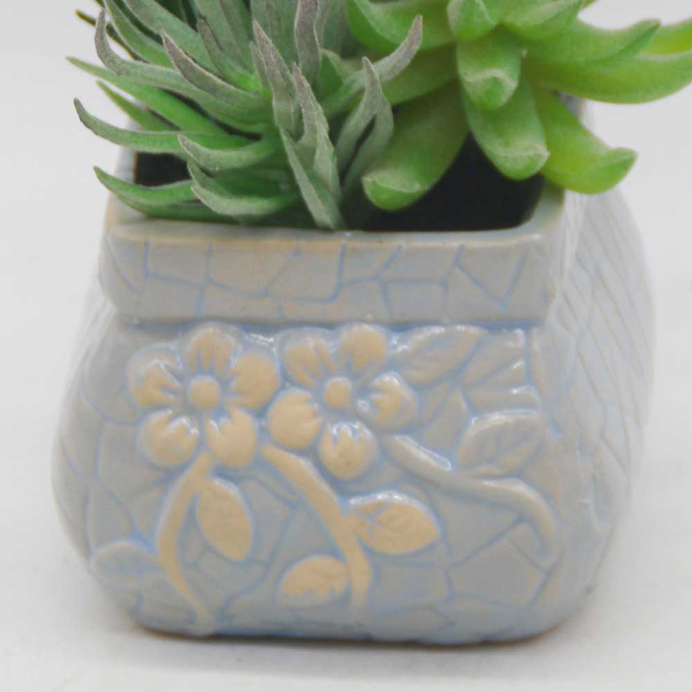 MC0371 Mixed succulent new