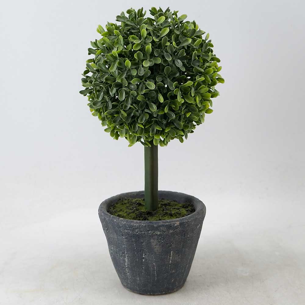 MC18-6353S Topiary Boxwood