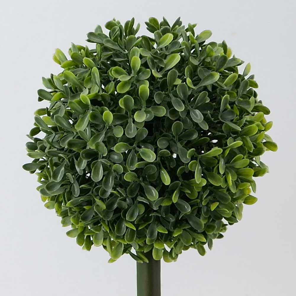 MC18-6353S Topiary Boxwood