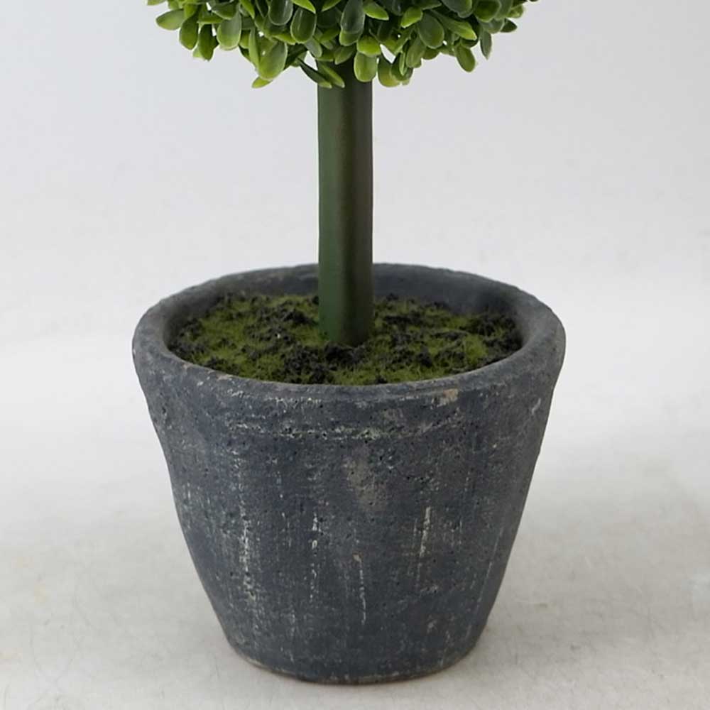 MC18-6353S Topiary Boxwood