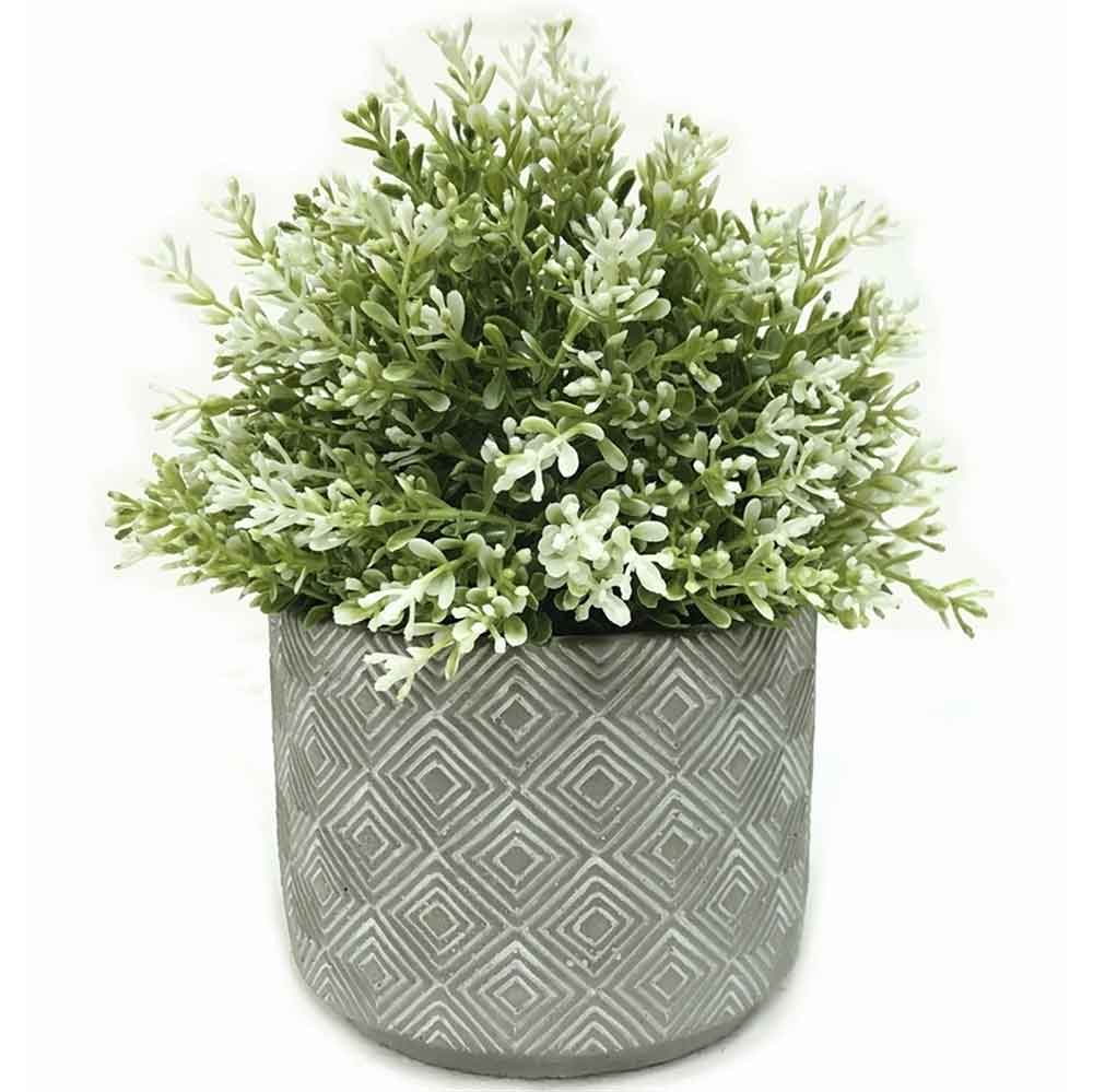 MC2292 Topiary Grass