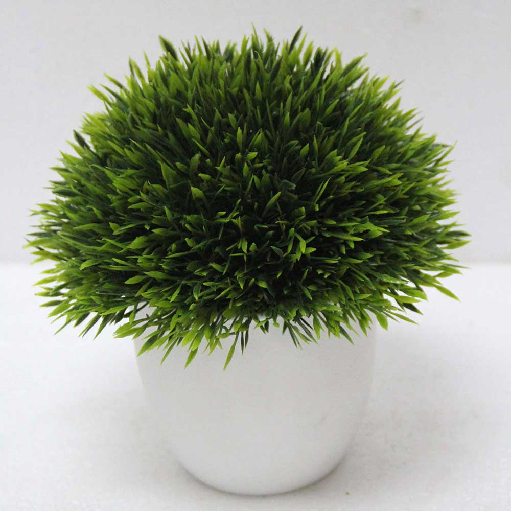 MC2549 Topiary Grass