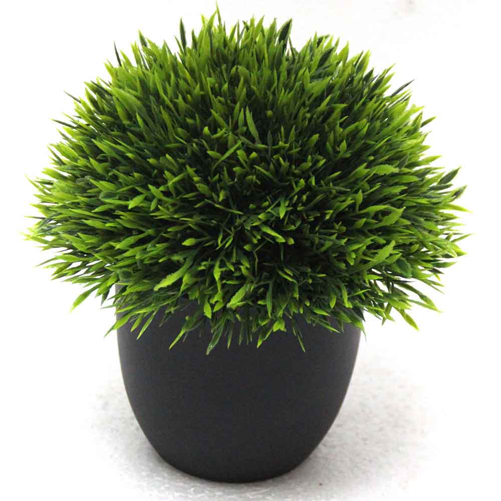 MC2549 Topiary Grass