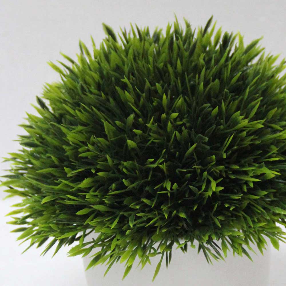 MC2549 Topiary Grass