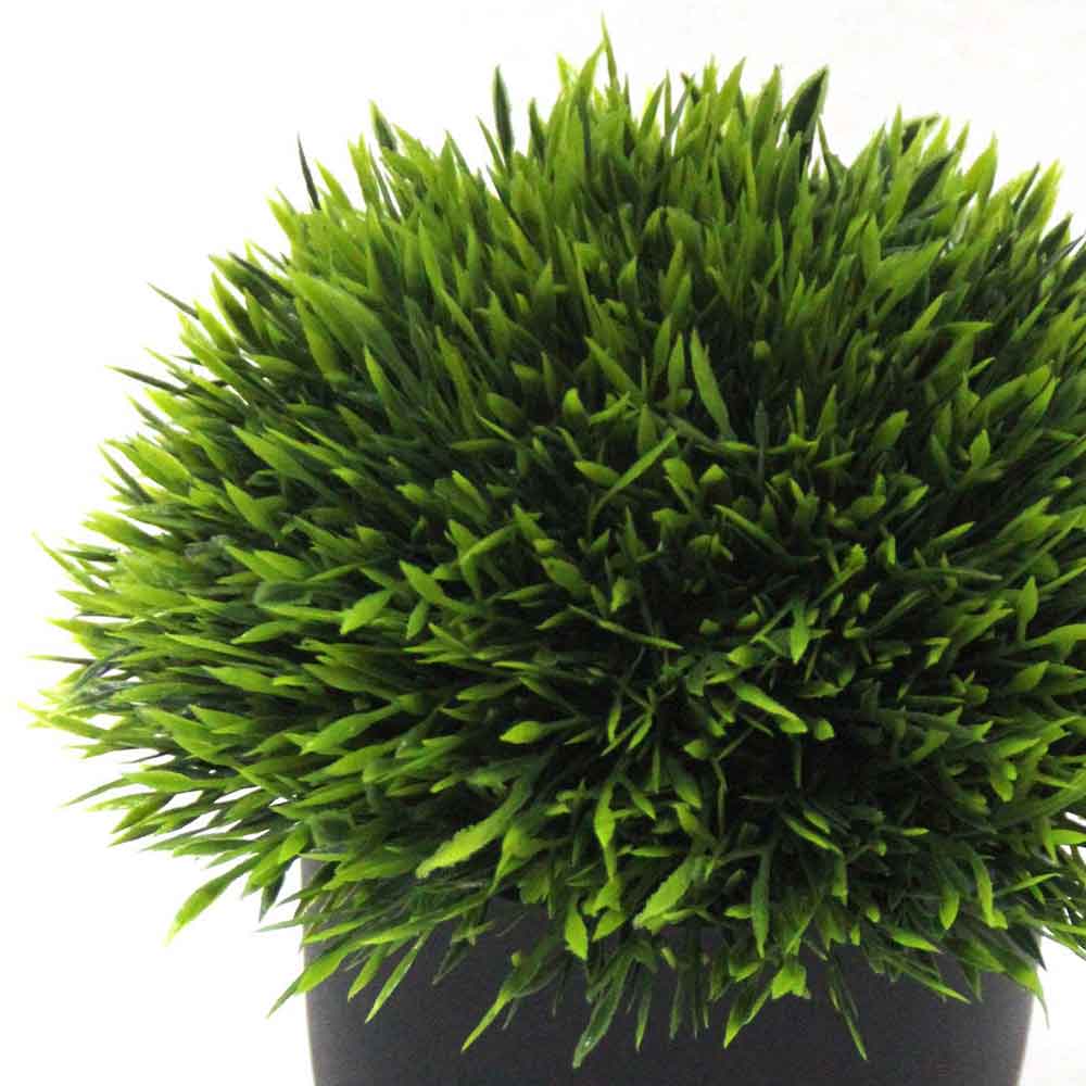 MC2549 Topiary Grass