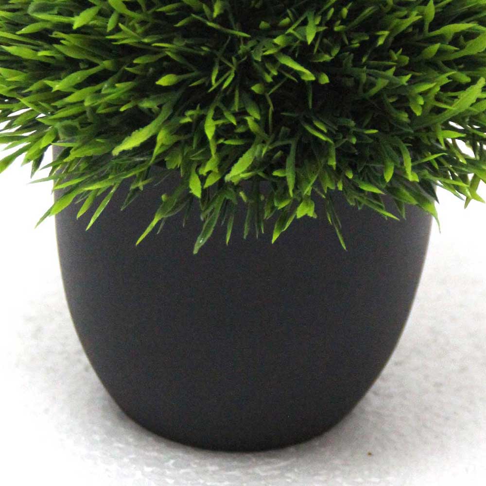 MC2549 Topiary Grass