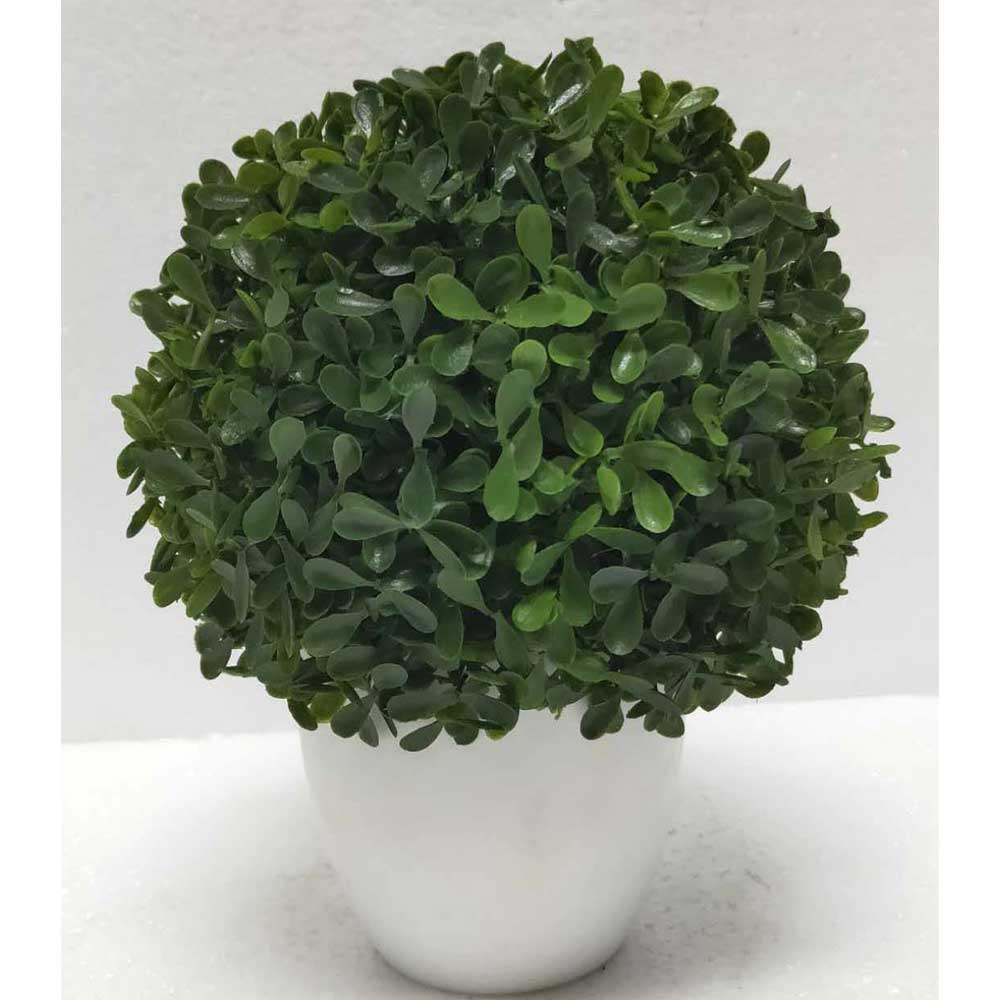 MC2558 Topiary Grass