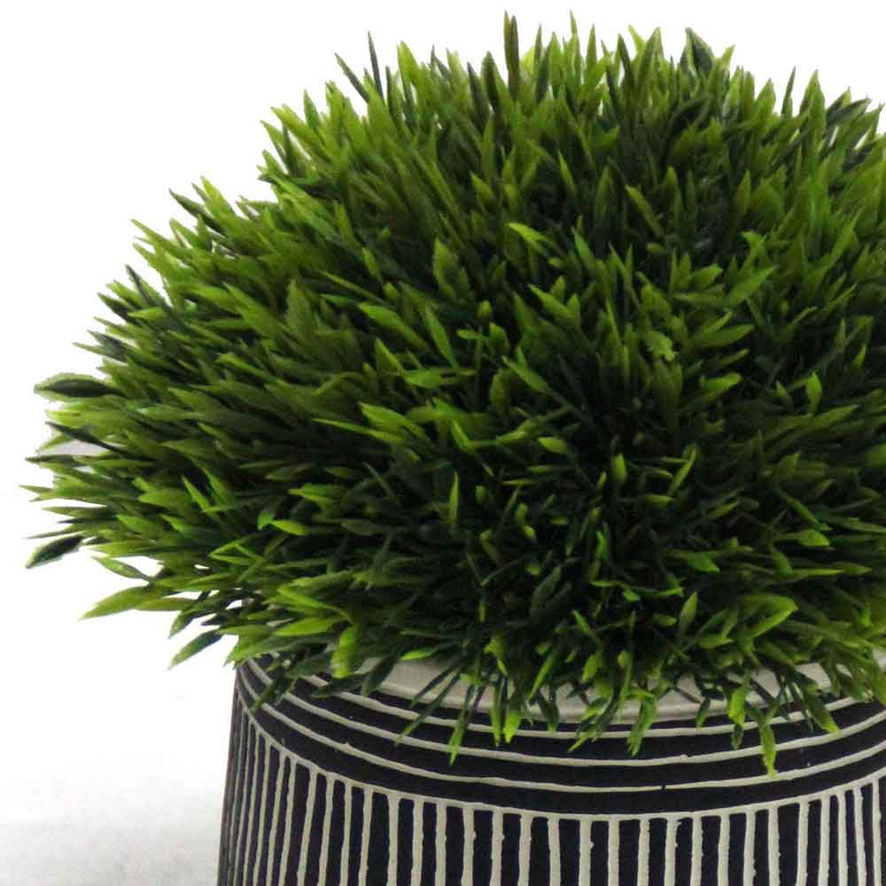 MC2798 Topiary Grass