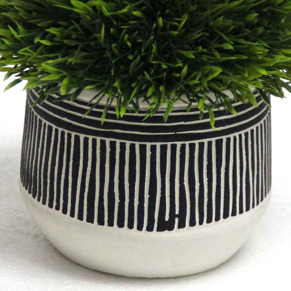 MC2798 Topiary Grass