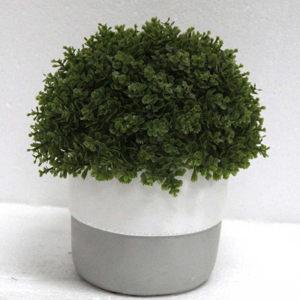 MC2803 Topiary Grass