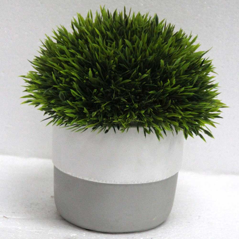 MC2804 Topiary Grass