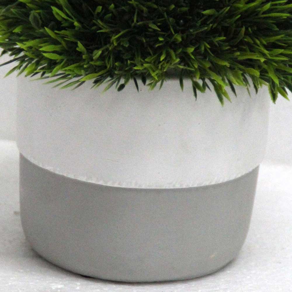 MC2804 Topiary Grass