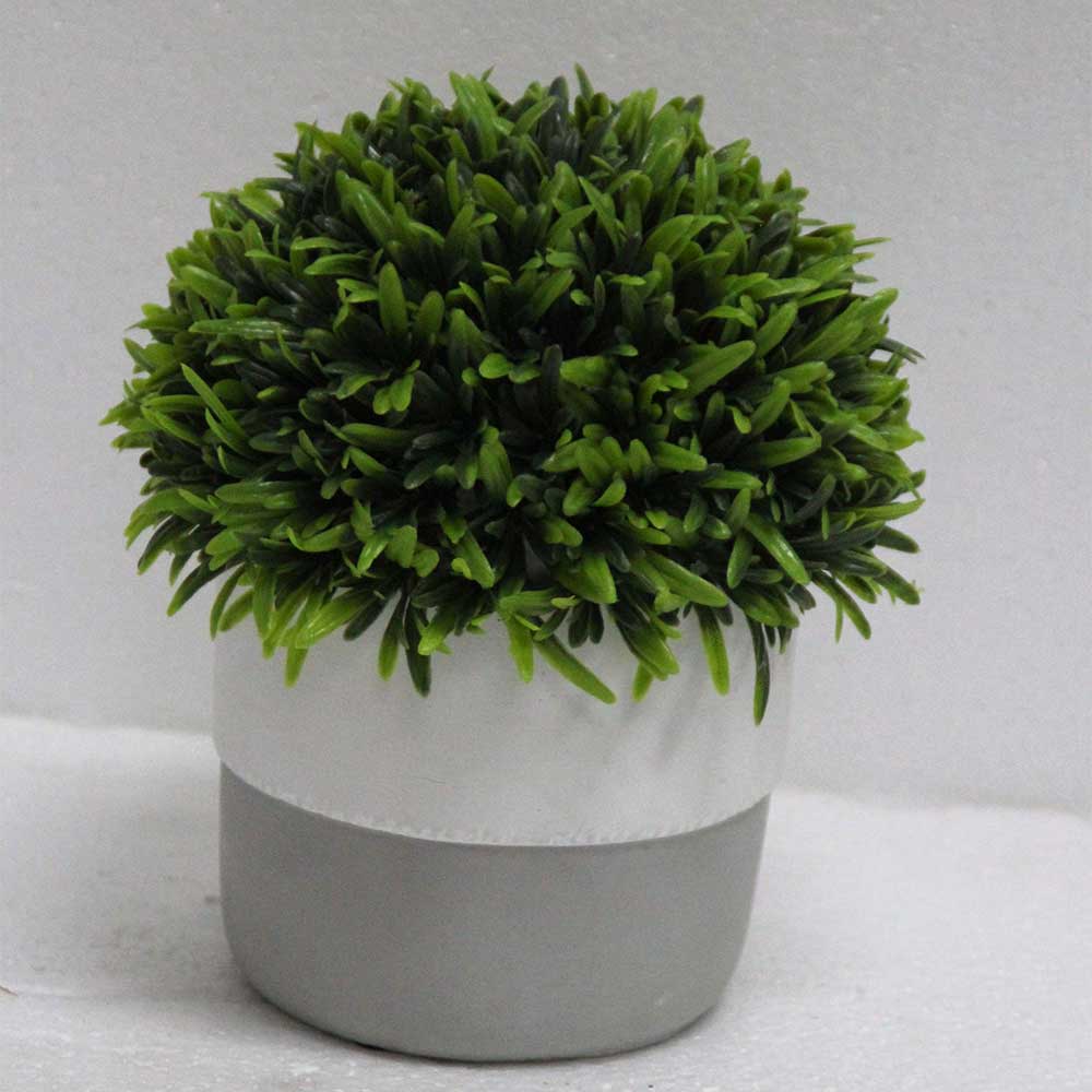 MC2805 Topiary Grass